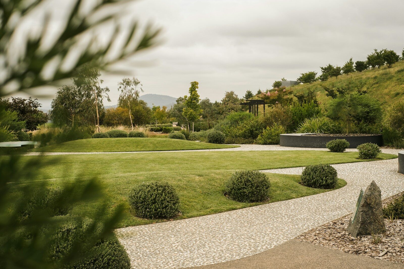 Photo by Raelle Cameron a large green lawn with bushes and trees